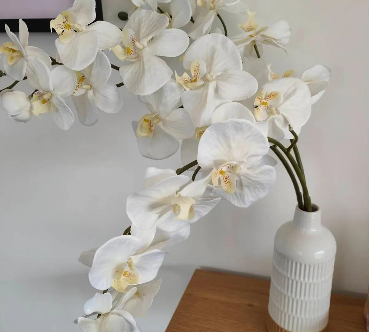 Beautiful Home Near Everything! Christchurch Holiday home